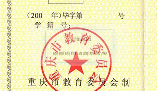 重庆市2004年高中毕业证学籍号填写规则