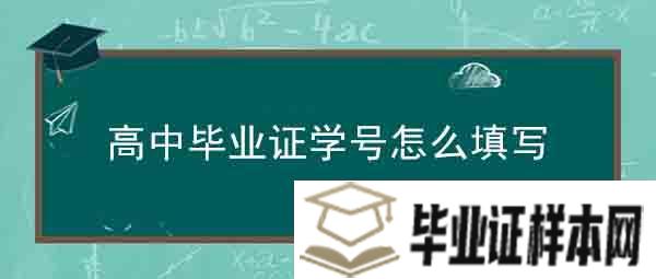 高中毕业证学号怎么填写