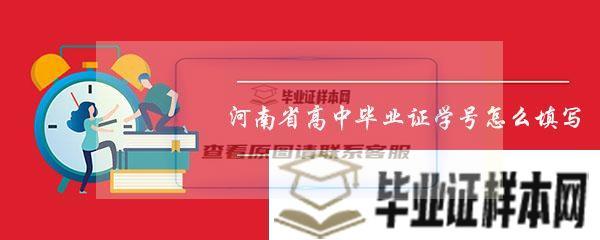 河南省高中毕业证学号怎么填写