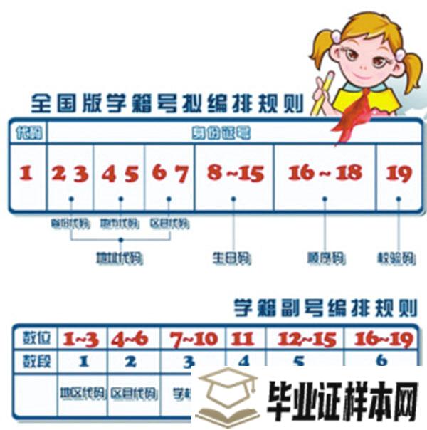 高中毕业证学号编排规则