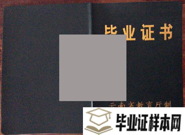 云南新兴职业学院2003年毕业证