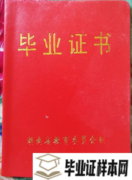 湖南省1999年高中毕业证外壳