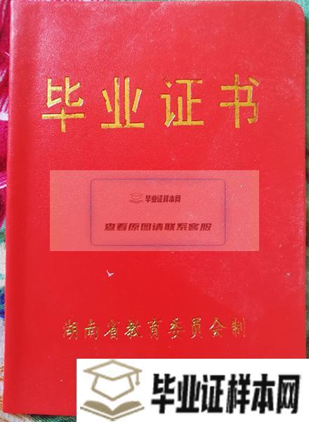湖南省1999年高中毕业证外壳