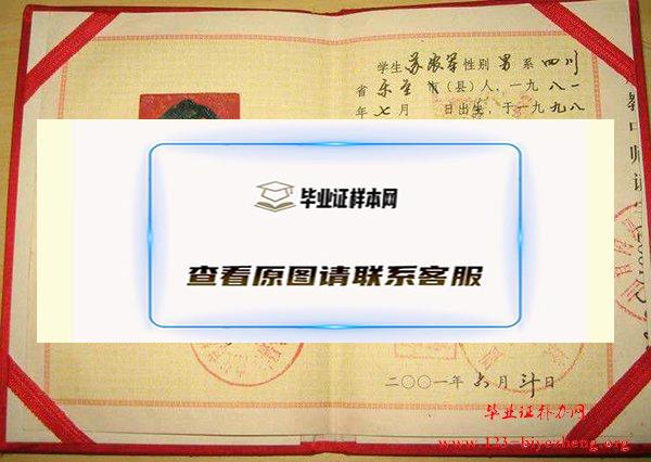 内江市2000年中专毕业证样本