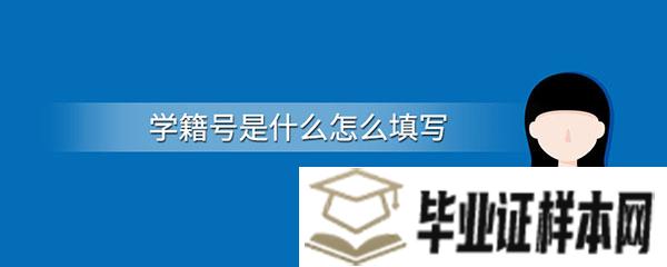 重庆市高中毕业证学籍号