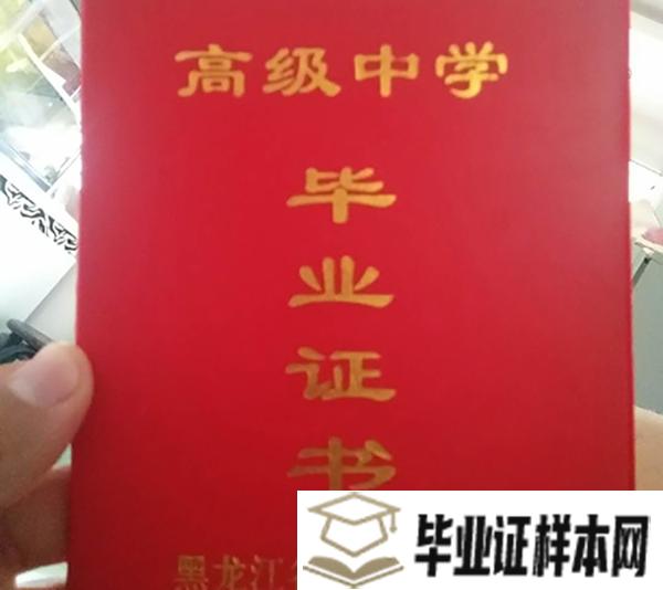 哈尔滨市第十九中学毕业证图片