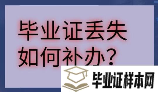 毕业证和档案丢了应该怎么补办？