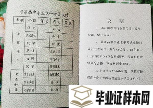 湟源县第二中学毕业证样本