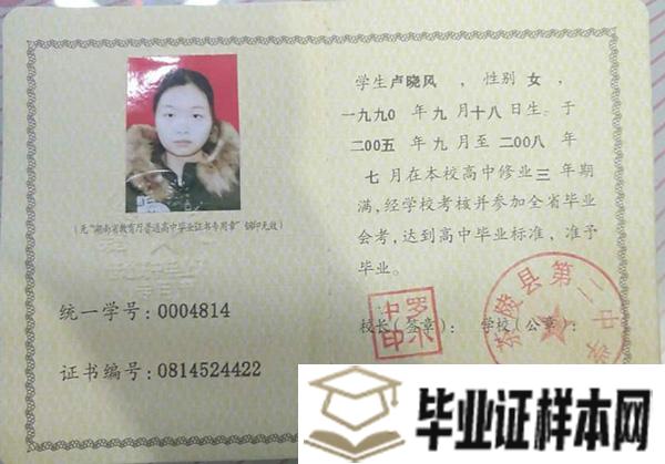 湖南省99年高中毕业证样本