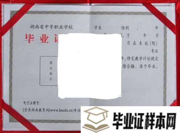 湖南省中等职业学校毕业证