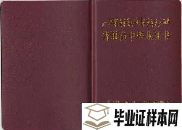 新疆2000年高中毕业证外壳