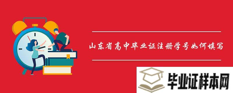 山东省高中毕业证注册学号如何填写