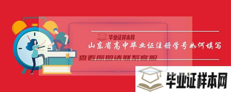 山东省高中毕业证注册学号如何填写