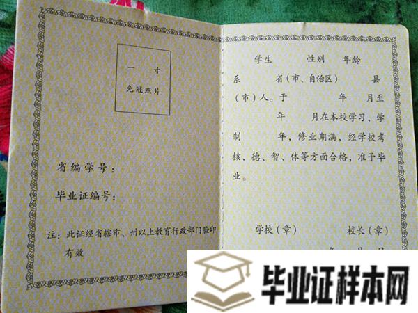 湖北省1992年高中毕业证内页