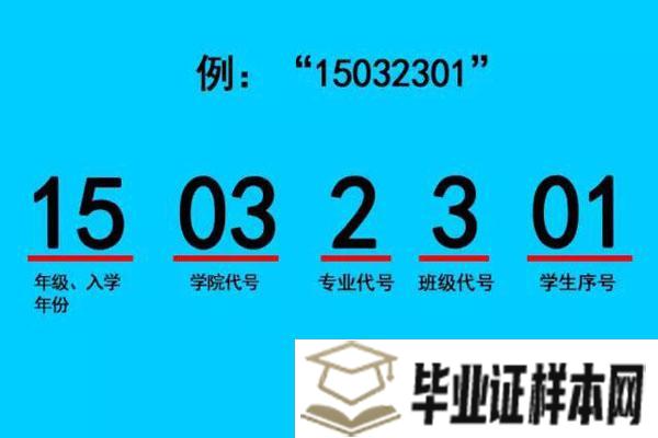 高中毕业证学号怎么填（高中毕业证学号格式/填写规则）