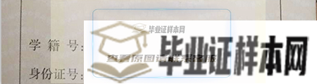 新疆高中畢業證學籍號填寫規