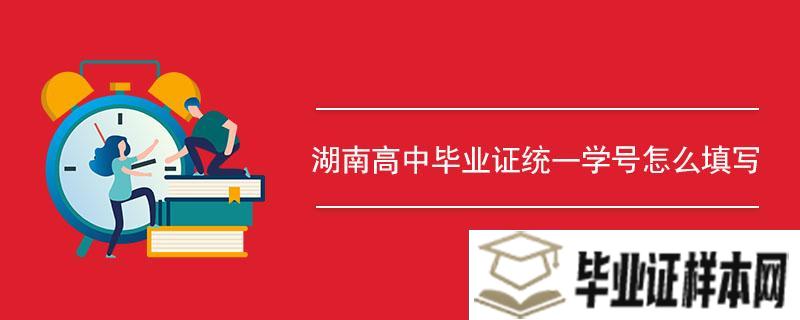 湖南高中毕业证统一学号怎么填写