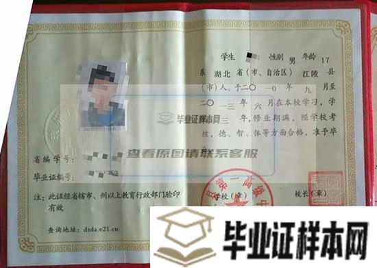 武汉实验外国语学校毕业证图片