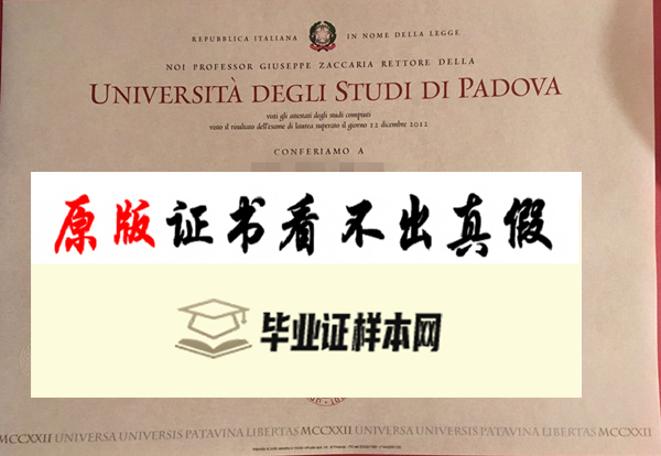 帕维亚大学学位证Università degli Studi di Pavia