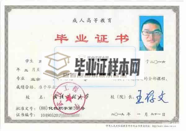 2019年武汉工程大学成人大专毕业证样本