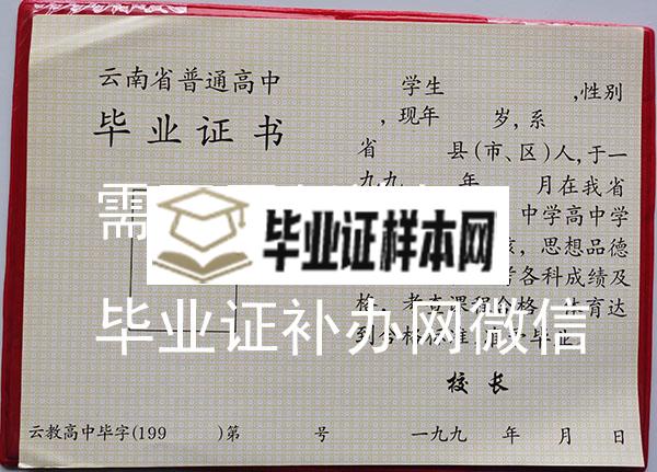 云南省1994年高中毕业证内页