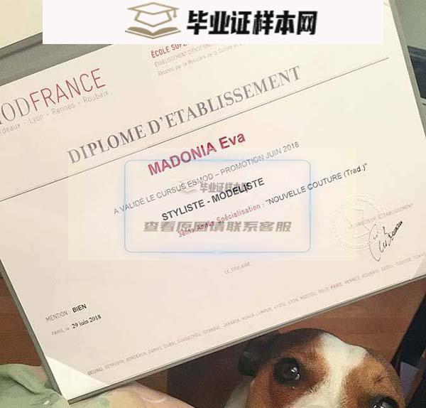 法国大学毕业证图片（法国大学文凭样本）