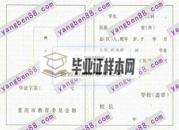 重庆市中专毕业证(图4)