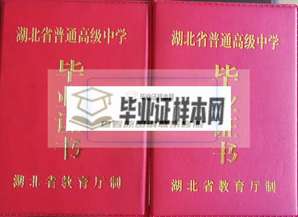 武汉市仪表电子学校毕业证封皮