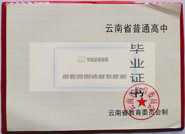 云南省1994年高中毕业证样本