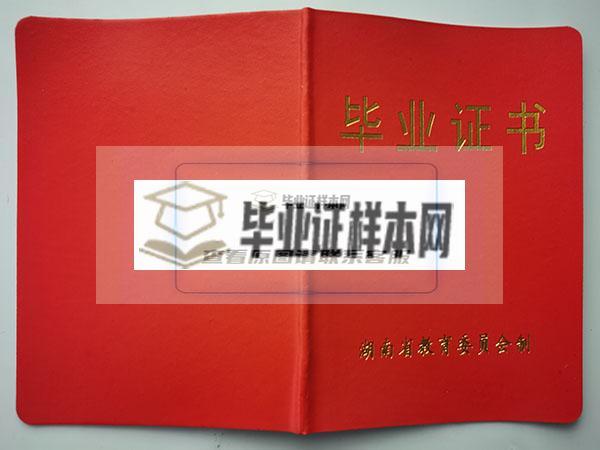 湘潭县第六中学2000毕业证外壳