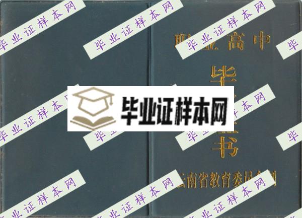 云南高中毕业证(图1)