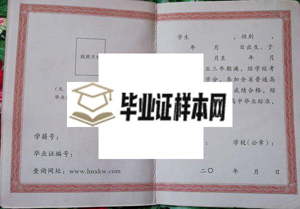 湖南省2009年高中毕业证