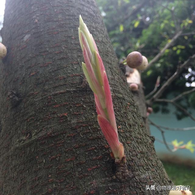 全日制大专扩招(甘肃全日制大专扩招)