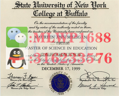 美国纽约州立大学水牛城分校毕业证书模板