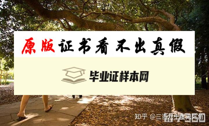 美国长岛大学毕业证书模板