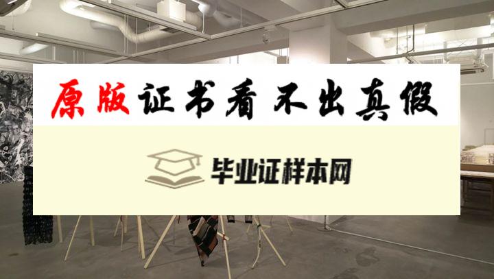 ​日本东京艺术大学毕业证书模板