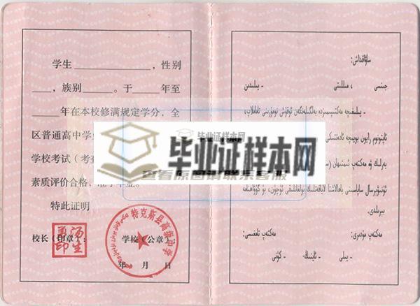 新疆2006年高中毕业证样本