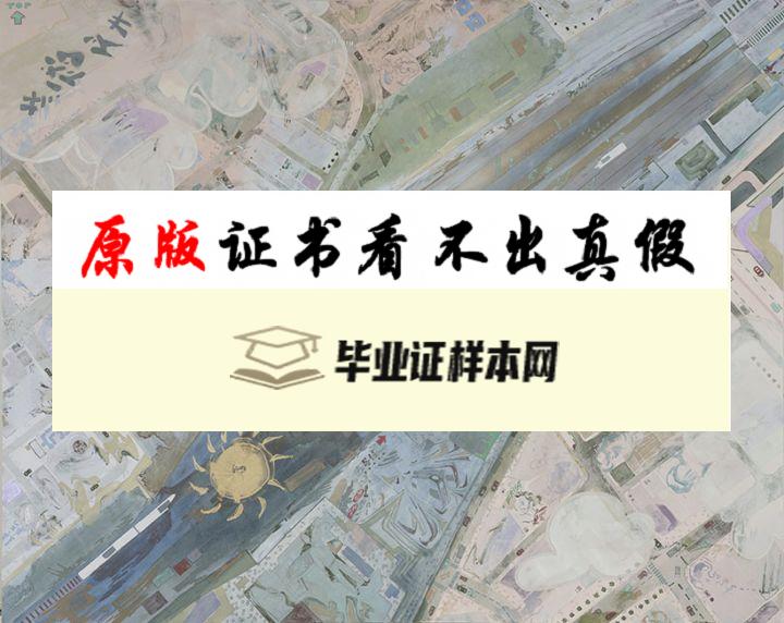 ​日本东京艺术大学毕业证书模板