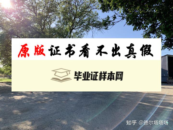 加利福尼亚大学戴维斯分校毕业证书模板