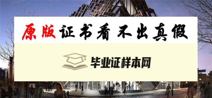 英国谢菲尔德大学毕业证书模板