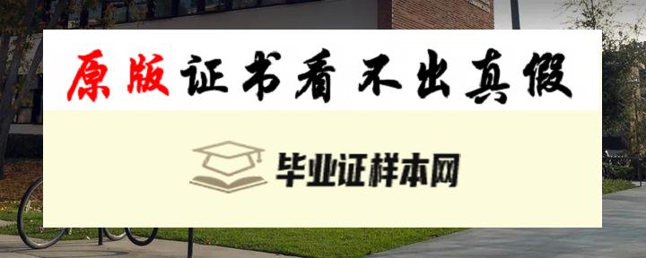 美国加州州立大学毕业证书模板 California State University