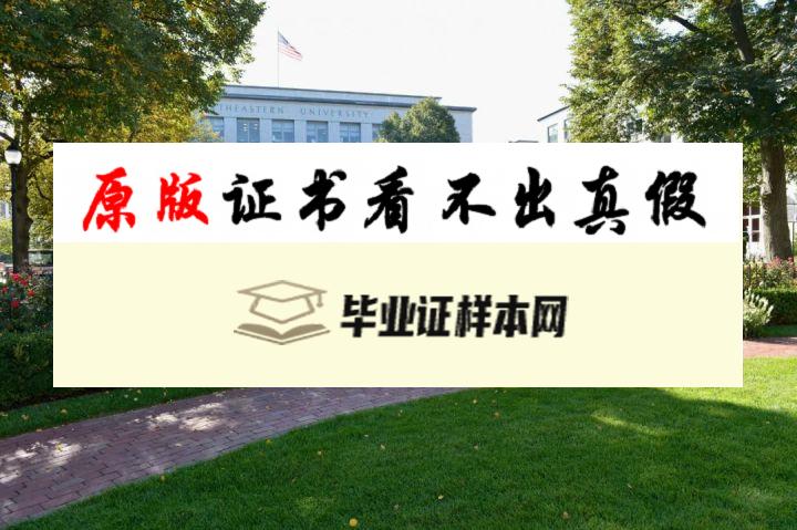 美国东北大学成绩单模板