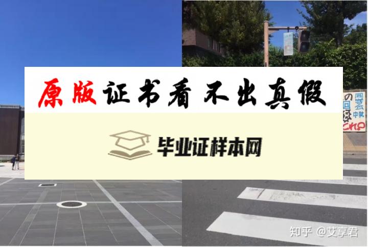 日本京都大学毕业证书模板