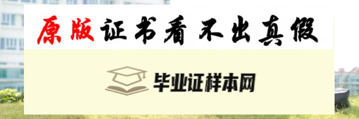 新加坡管理发展学院毕业证书模板