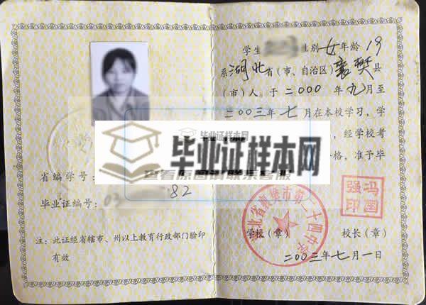 湖北省2001年高中毕业证样本