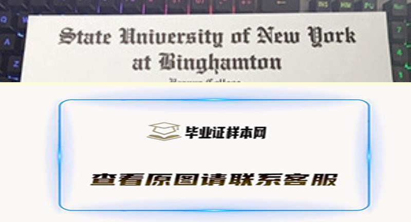 宾厄姆顿大学纽约州立大学文凭