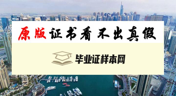 土耳其中东科技大学毕业证书模板