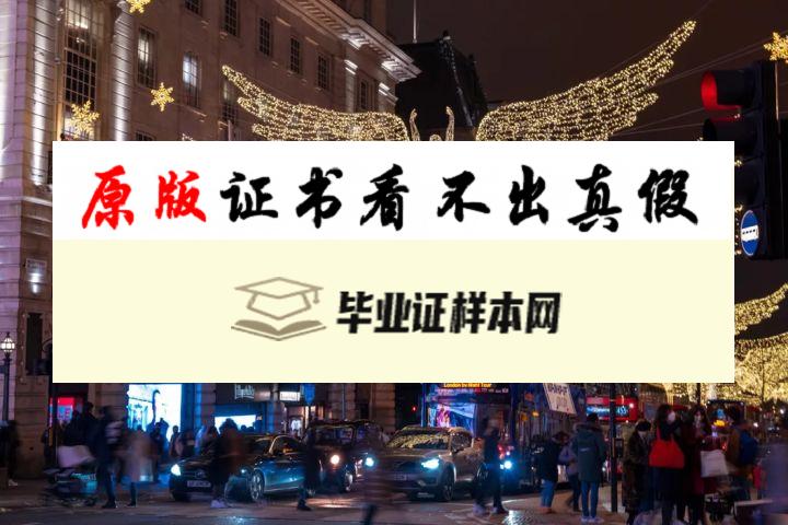 英国曼切斯特大学成绩单样本