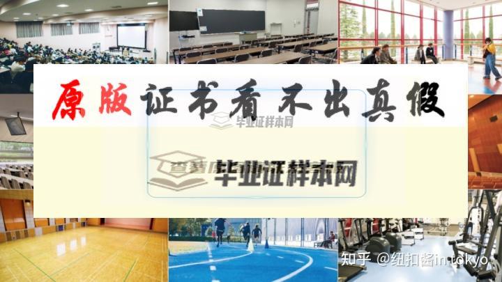 日本?尚美學園大學畢業證書模板