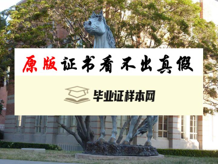 美国南加州大学毕业证书模板  university of southern california